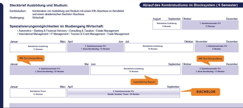 Ablauf des Kombistudiums - AFUM Akademie für Unternehmensmanagement
